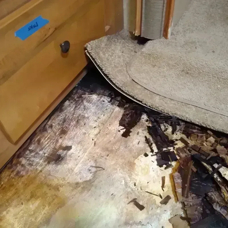 Wood Floor Water Damage in Alfred, ME